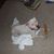 Lorna Hanrahan's profile image