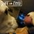 Szy KT's profile image