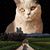 JayDee Robinson's profile image