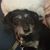 Arlene Andernetti's profile image