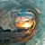 Donnie Ray's profile image