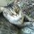 Denise Atchley's profile image