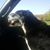 Ashley Hughes's profile image