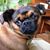 Judi Rowley Ryan's profile image