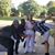 Shay Leigh Brown's profile image
