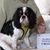 Lorie Johnson's profile image