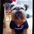 Brian R Capps's profile image