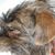 Mary Mays's profile image