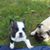 Mary Anne Sayre's profile image