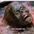 Yolanda Logwood's profile image