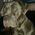 Brian Stroup's profile image