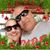 Angela Stroh's profile image