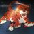 Allyson Hildreth's profile image