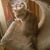 Beverly Summers Miller's profile image
