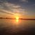 Mary Andrew Harrison's profile image