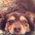 Katie Tapia-Lynch's profile image