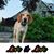 Fred Shahrooz's profile image
