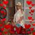 Barbara Blackwell's profile image