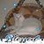Sandy Streckfuss's profile image