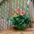 Debra Arco's profile image