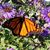 Randy Spiller's profile image