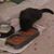 Michael Montepara's profile image