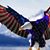 Kirby Whitsel's profile image