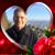 David Altermatt's profile image