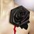 Claudia Castillo-Garcia's profile image