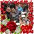 Gene Rose Johnson's profile image