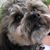 Tracy Davidson's profile image