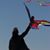 Beth Davis Hammack's profile image
