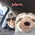 Tracey Acebo Roberts's profile image
