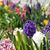 Beth Brewer Holderness's profile image