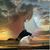 Cinzia Di Lello's profile image