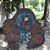 Erin Burson's profile image