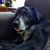 Jennifer McCarty's profile image