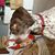 Cecily G. Steele's profile image