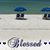 Carol Pritchett's profile image