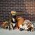 Karen Garrett-Royer's profile image