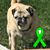 Vicky Kujawa's profile image