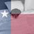 Donna McDonald Morgan's profile image