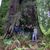 Marha Bosco's profile image