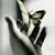Nour Ahmed's profile image