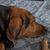 Leesa Cunningham Zayas's profile image