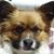 He Alvin's profile image