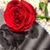 Amal Aljub's profile image
