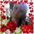 Nancy Wadley's profile image