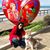 Norma Chavez's profile image