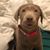 Cole Florendo's profile image